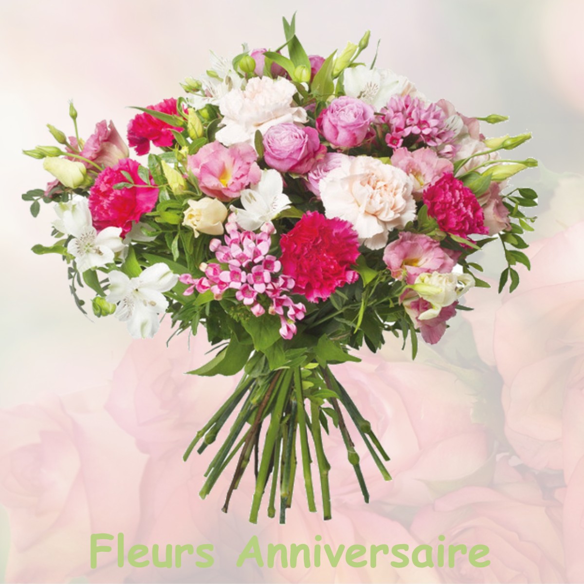 fleurs anniversaire LA-GUIERCHE